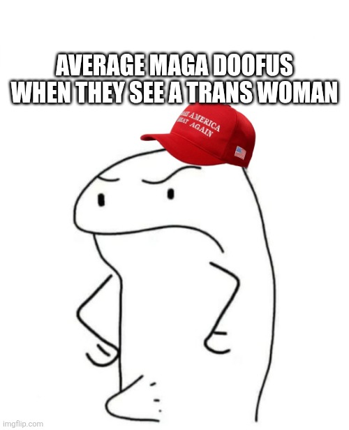 Maga Flork ?'s Trans women | Average Maga doofus when they see a trans woman | made w/ Imgflip meme maker