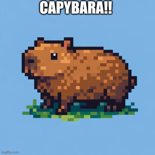 Capybara | Capybara!! | image tagged in capybara | made w/ Imgflip meme maker