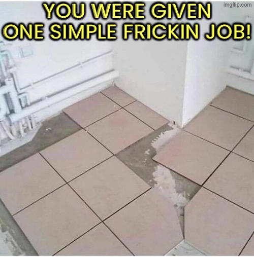 One Simple Frickin Job | You were given one simple frickin job! | image tagged in you had one job,duhhh dumbass,the floor is,do you are have stupid,dude you're an idiot,just why | made w/ Imgflip meme maker