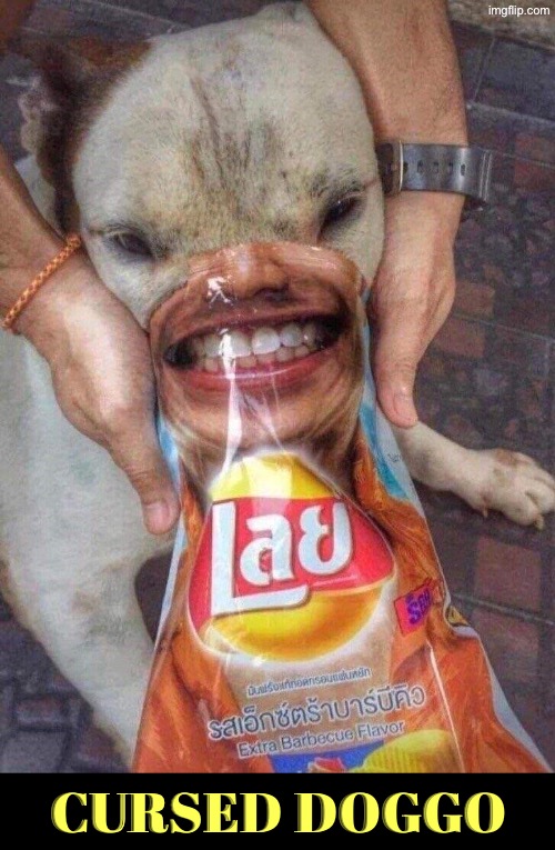 Cursed Doggo | Cursed doggo | image tagged in dogs,cursed images,funny dogs,lays,funny picture,creepy face | made w/ Imgflip meme maker