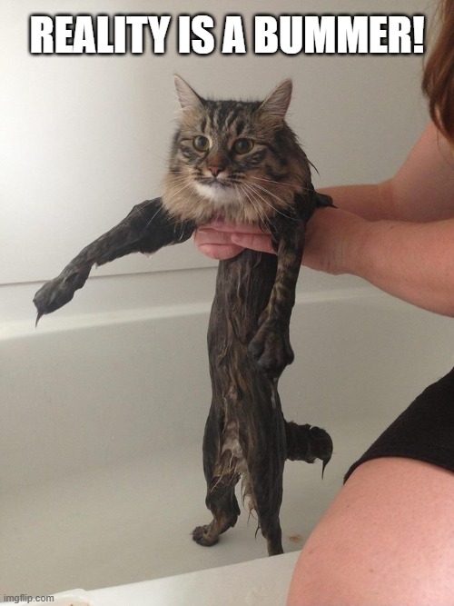 Wny Cats Hate Baths | Reality is a bummer! | image tagged in vince vance,funny cat memes,cats,reality,cat bath,funny cats | made w/ Imgflip meme maker