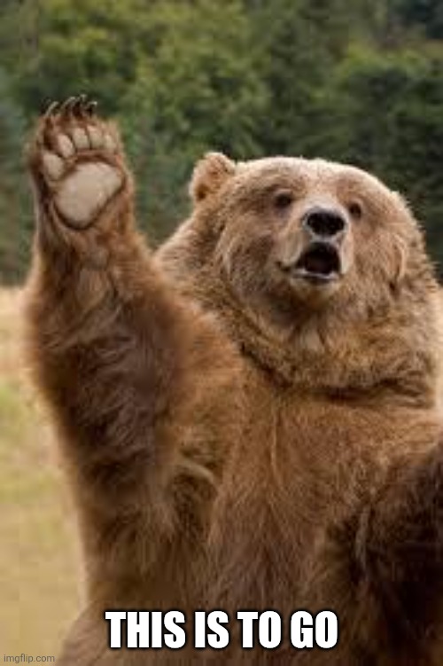grizzly bear | This is to go | image tagged in grizzly bear | made w/ Imgflip meme maker