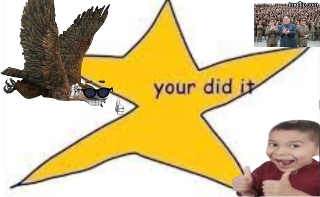 your did it | image tagged in your did it | made w/ Imgflip meme maker