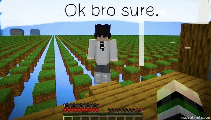 Ok bro sure | image tagged in ok bro sure | made w/ Imgflip meme maker