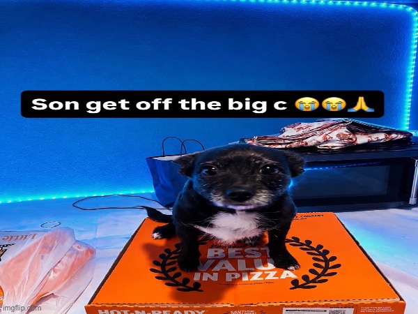 image tagged in memes,msmg | made w/ Imgflip meme maker