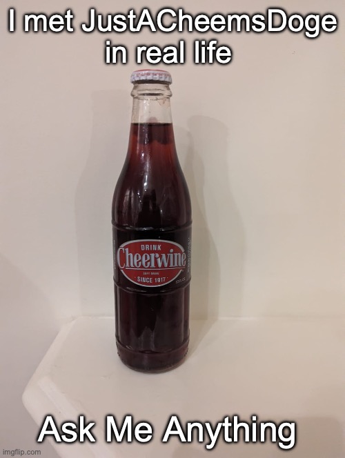 im serious btw if you dont believe me ask him on Discord | I met JustACheemsDoge in real life; Ask Me Anything | image tagged in cheerwine | made w/ Imgflip meme maker