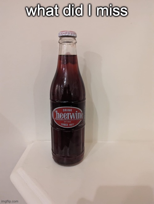 Cheerwine | what did I miss | image tagged in cheerwine | made w/ Imgflip meme maker