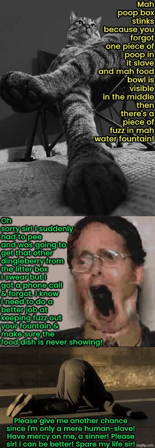 Have Mercy On Me | Mah poop box stinks because you forgot one piece of poop in it slave and mah food bowl is visible in the middle then there's a piece of fuzz in mah water fountain! Oh sorry sir! I suddenly had to pee and was going to get that other dingleberry from the litter box I swear but I got a phone call & forgot. I know I need to do a better job at keeping fuzz out your fountain & make sure the food dish is never showing! Please give me another chance since I'm only a mere human-slave! Have mercy on me, a sinner! Please sir! I can be better! Spare my life sir! | image tagged in cats,funny cats,begging cat,evil overlord rules,obey,peasant | made w/ Imgflip meme maker