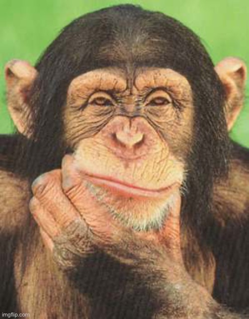 chimpanzee thinking | image tagged in chimpanzee thinking | made w/ Imgflip meme maker