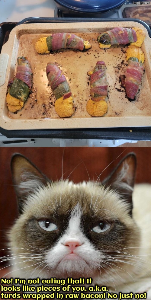 Miss Grump Says "No Just No." | No! I'm not eating that! It looks like pieces of you, a.k.a. turds wrapped in raw bacon! No just no! | image tagged in cats,grumpy cat,grumpy cat insults,food memes,turds,no just no | made w/ Imgflip meme maker
