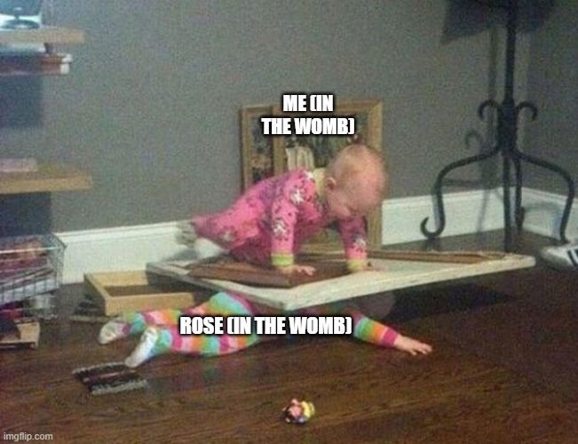 Dont ask | Me (In the womb); rose (In the womb) | image tagged in dont ask | made w/ Imgflip meme maker