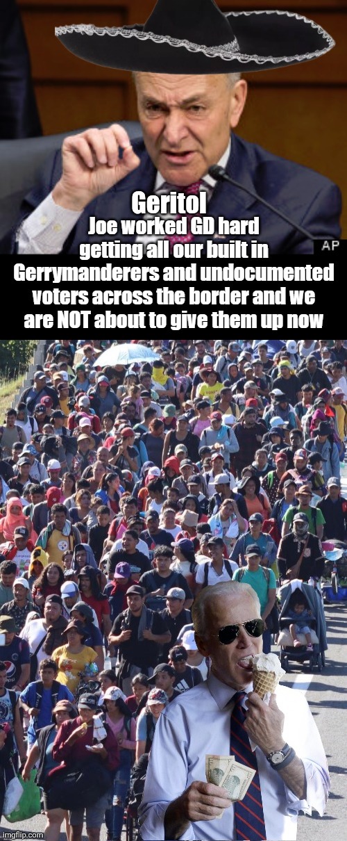 We won't give fraud up | Geritol | image tagged in atotnv jpg,bidens illegal immigrants army,chuck schumer | made w/ Imgflip meme maker