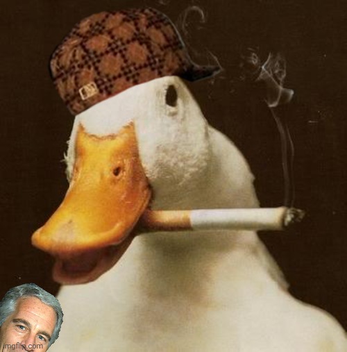 Smoking Duck | image tagged in smoking duck | made w/ Imgflip meme maker