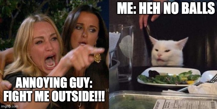 Random Thought of the Day | Me: Heh No balls; Annoying Guy: FIGHT ME OUTSIDE!!! | image tagged in woman screaming at cat,ssenmodnar,random | made w/ Imgflip meme maker