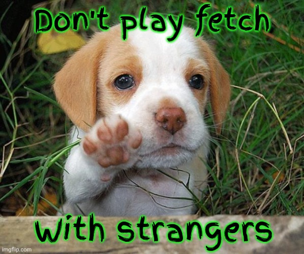 That's Just Good Advice | Don't play fetch; With strangers | image tagged in dog puppy bye,memes,stranger danger,be aware,stay safe,fetch | made w/ Imgflip meme maker