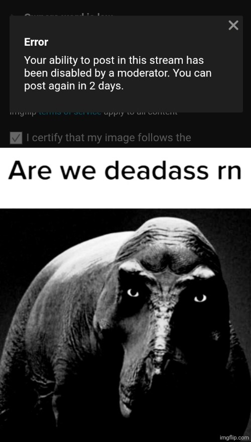 Andrew why? None of my memes or comments were even removed. | image tagged in are we deadass rn,mod abuse,sitemods,imgflip moderators | made w/ Imgflip meme maker