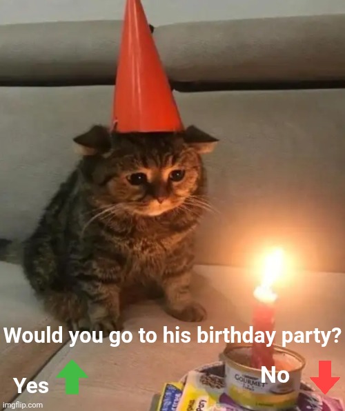 Would you go to his birthday party? | Would you go to his birthday party? No; Yes | image tagged in cat birthday | made w/ Imgflip meme maker