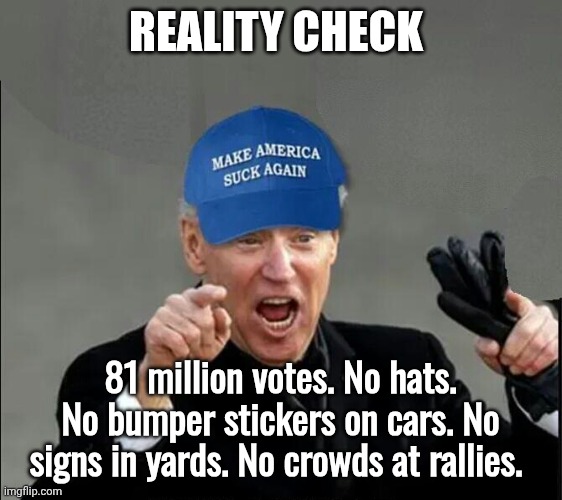 Blue Hat Joe Biden Sucks | Reality Check 81 million votes. No hats. No bumper stickers on cars. No signs in yards. No crowds at rallies. | image tagged in blue hat joe biden sucks | made w/ Imgflip meme maker