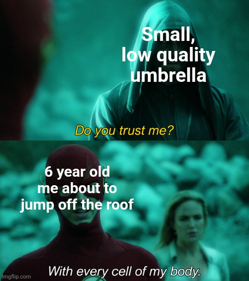 Do you trust me? | Small, low quality umbrella; 6 year old me about to jump off the roof | image tagged in do you trust me,umbrella,kids,stunts,jump,parachute | made w/ Imgflip meme maker