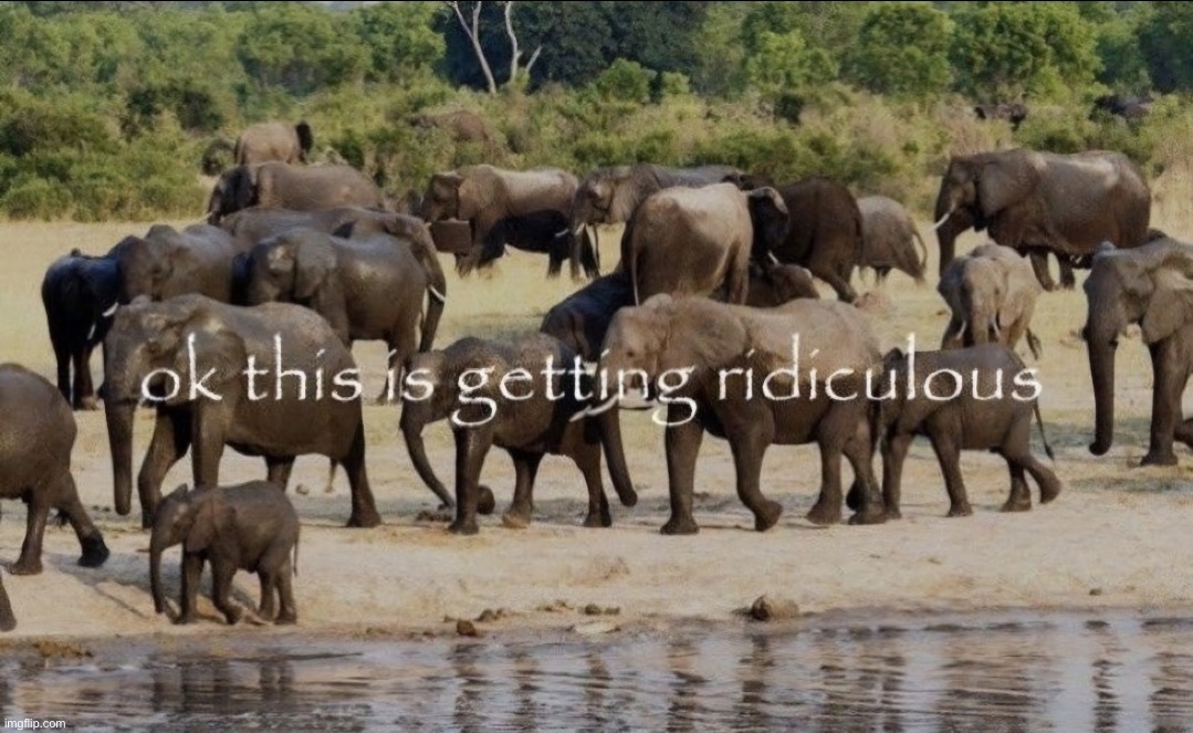 ok this is getting ridiculous | image tagged in ok this is getting ridiculous | made w/ Imgflip meme maker