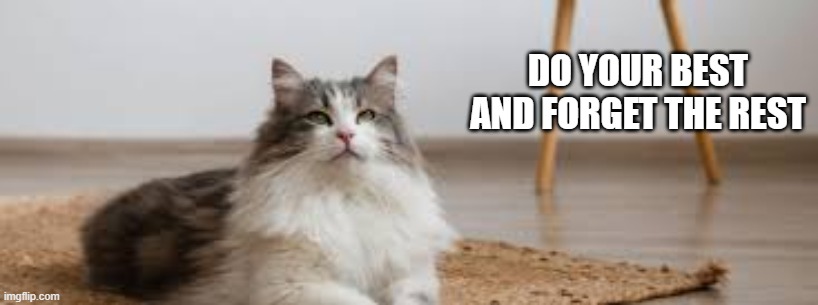Cat says "Do your best and forget the rest". | do your best and forget the rest | image tagged in cat,kittens,funny,play on words,funny cat memes | made w/ Imgflip meme maker
