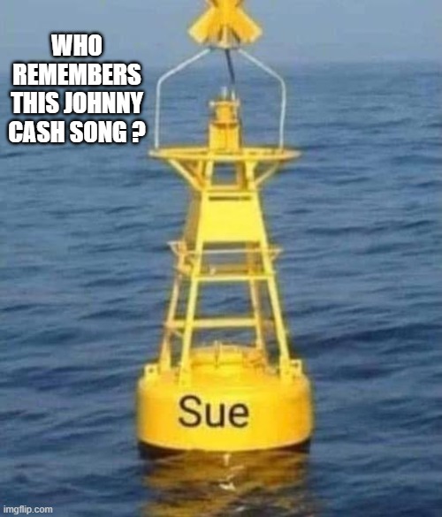 Who remembers this famous Johnny Cash song from years ago? | who remembers this Johnny Cash song ? | image tagged in funny,humor,johnny cash,song,song lyrics,funny meme | made w/ Imgflip meme maker