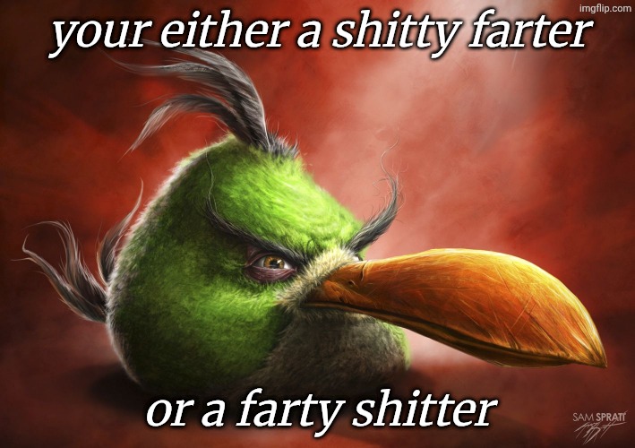 Realistic Angry Bird | your either a shitty farter or a farty shitter | image tagged in realistic angry bird | made w/ Imgflip meme maker