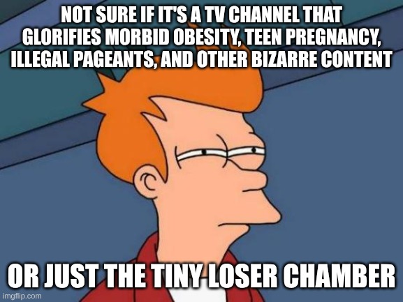 Futurama Fry Meme | Not sure if it's a TV Channel that glorifies morbid obesity, teen pregnancy, illegal pageants, and other bizarre content or just the Tiny Lo | image tagged in memes,futurama fry | made w/ Imgflip meme maker
