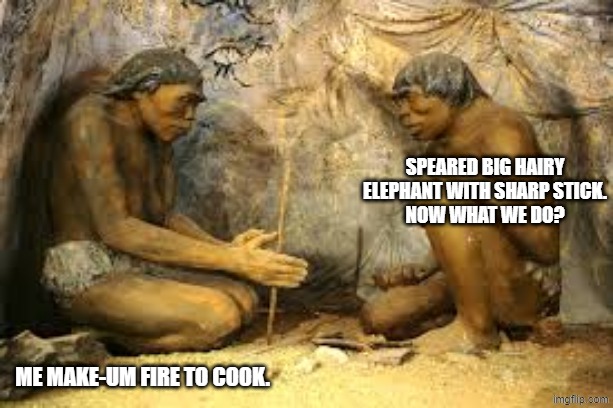caveman fire | speared big hairy elephant with sharp stick.
now what we do? me make-um fire to cook. | image tagged in caveman fire | made w/ Imgflip meme maker