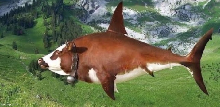 image tagged in cow fish | made w/ Imgflip meme maker
