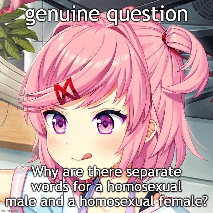 natsuki | genuine question; Why are there separate words for a homosexual male and a homosexual female? | image tagged in natsuki | made w/ Imgflip meme maker