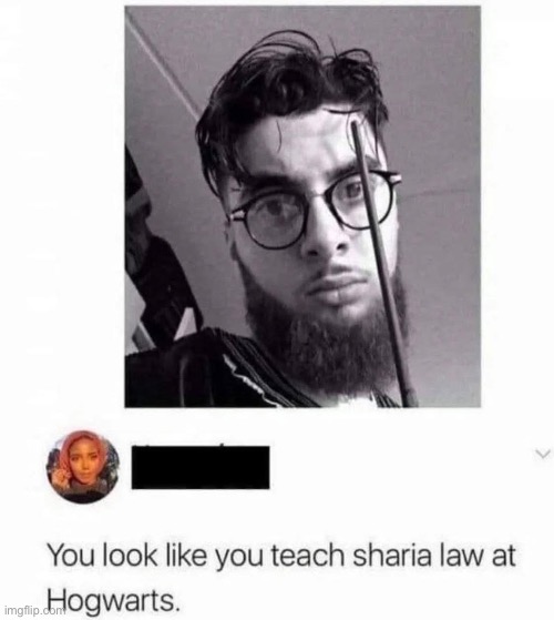 Hairy Potter | image tagged in img_6204 jpeg,harry potter,hairy,sharia,hogwarts | made w/ Imgflip meme maker
