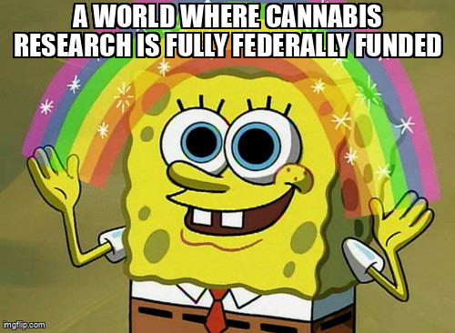 Imagination Spongebob