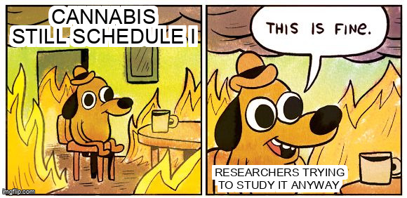This Is Fine