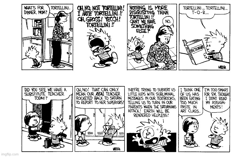 IMG_5552.jpeg | image tagged in calvin and hobbes,comics | made w/ Imgflip meme maker
