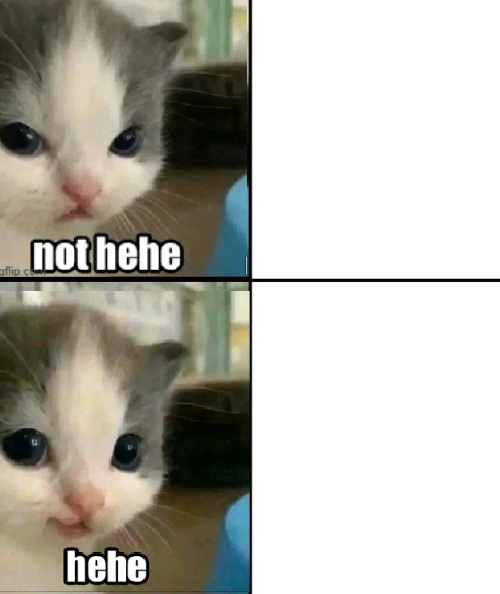 not hehe and then hehe Blank Meme Template