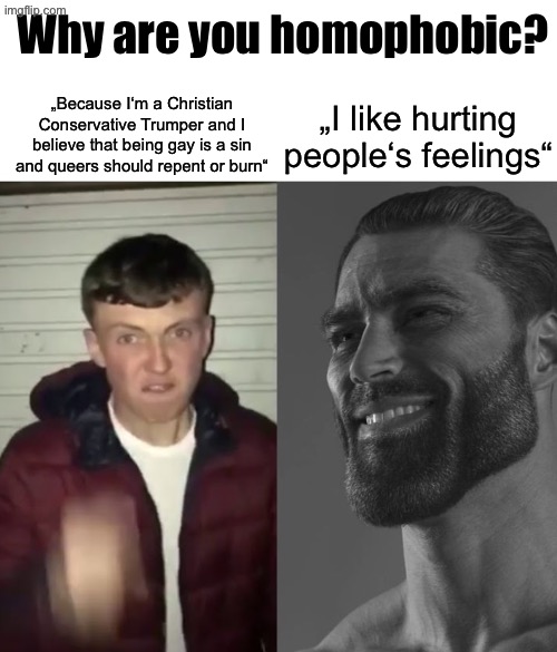 Disclaimer to the mods: This post was made purely for joking intent. I‘m bi so I have nothing against the gays | Why are you homophobic? „I like hurting people‘s feelings“; „Because I‘m a Christian Conservative Trumper and I believe that being gay is a sin and queers should repent or burn“ | image tagged in average fan vs average enjoyer | made w/ Imgflip meme maker