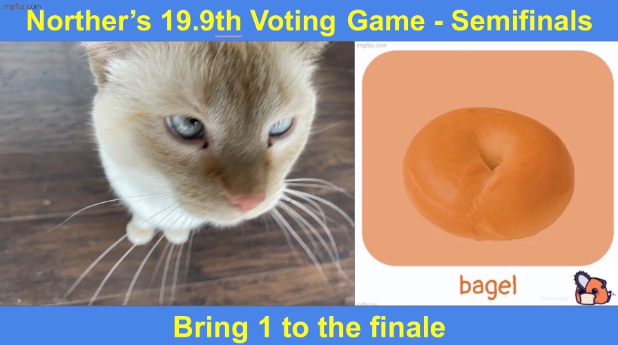 Anyways the VG semifinals are starting, 1st round: Cheze vs Bagel | image tagged in voting game s19-9 | made w/ Imgflip meme maker