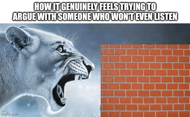 I probably shouldn't even be doing ts bruh | How it genuinely feels trying to argue with someone who won't even listen | image tagged in memes,talking to wall,arguing,with,idiots | made w/ Imgflip meme maker