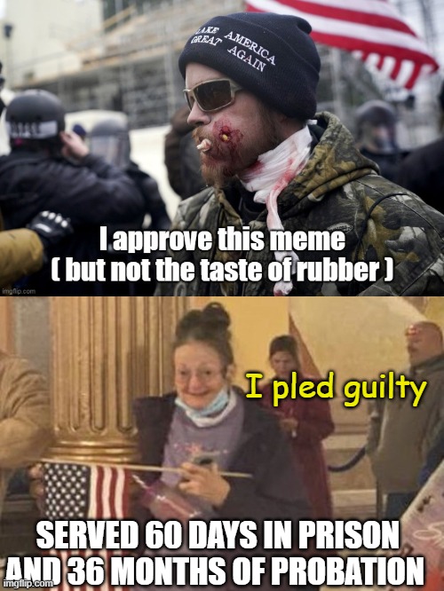 served 60 days in prison and 36 months of probation I pled guilty | made w/ Imgflip meme maker