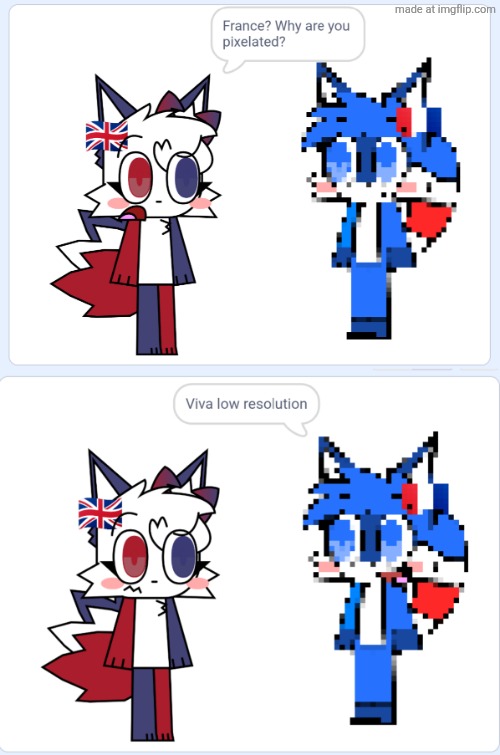 "Viva low resolution" | image tagged in countries,france,japan,puns,funny,furries | made w/ Imgflip meme maker