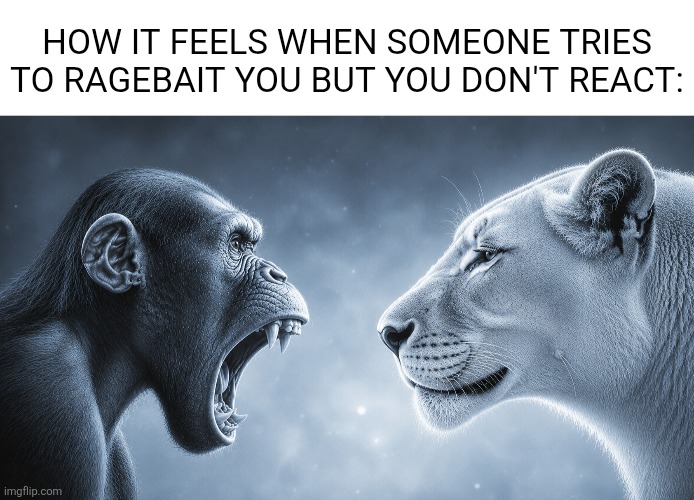 Baitrage | How it feels when someone tries to ragebait you but you don't react: | image tagged in ragebait | made w/ Imgflip meme maker
