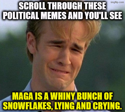 Trump is collapsing and MAGA has nowhere to go. | Scroll through these political memes and you'll see; MAGA is a whiny bunch of snowflakes, lying and crying. | image tagged in 1990s first world problems,maga,crying,lying,snowflakes,whining | made w/ Imgflip meme maker