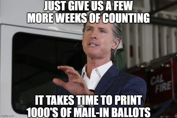just give us a few more weeks of counting it takes time to print 1000's of mail-in ballots | image tagged in gavin newsom | made w/ Imgflip meme maker