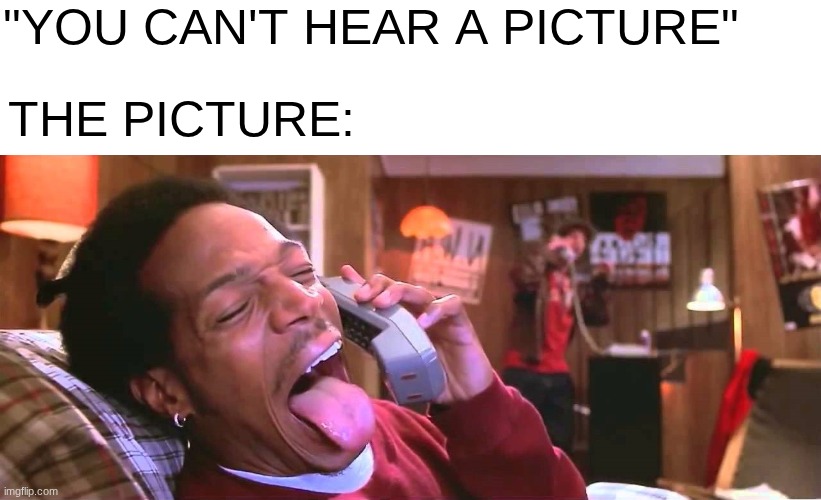The funniest scene ever in Scary Movie | "You can't hear a picture"; The Picture: | image tagged in wazzup,scary movie | made w/ Imgflip meme maker