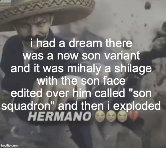 i had a dream there was a new son variant and it was mihaly a shilage with the son face edited over him called "son squadron" and then i exploded | image tagged in apvsda jpg | made w/ Imgflip meme maker
