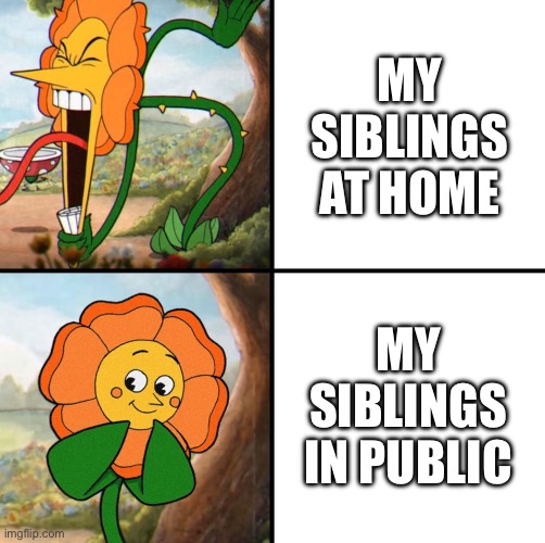 True story | My siblings at home; My siblings in public | image tagged in angry flower | made w/ Imgflip meme maker