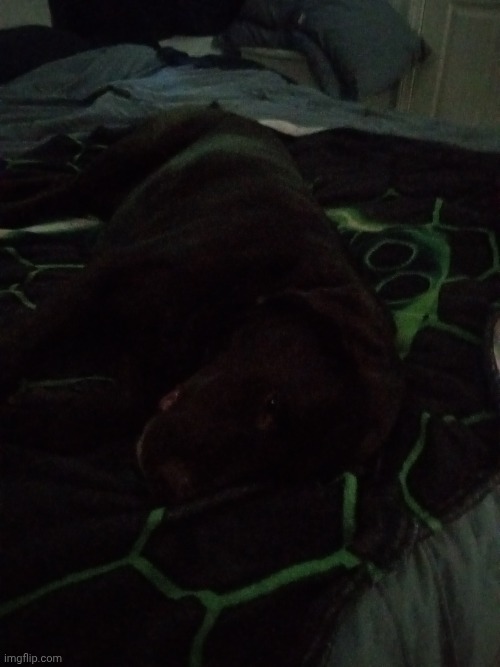He stole my blanket :/ | made w/ Imgflip meme maker