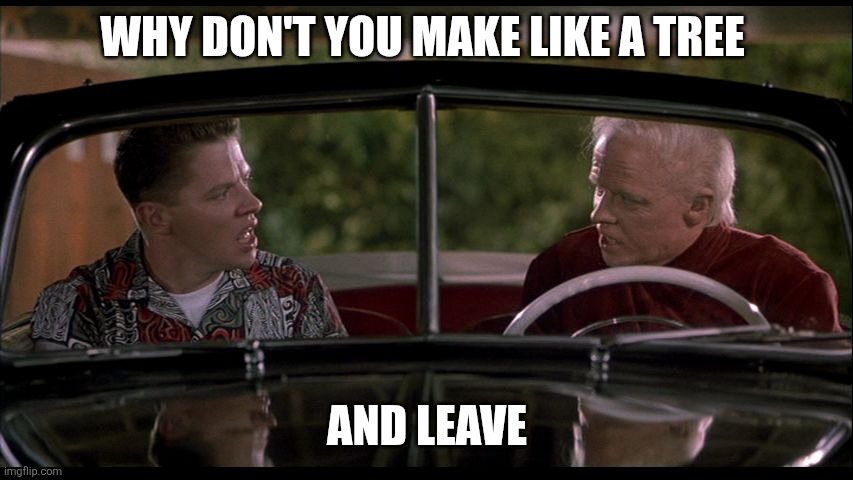 Make like a tree | Why don't you make like a tree; And leave | image tagged in old biff meets young biff,funny memes | made w/ Imgflip meme maker