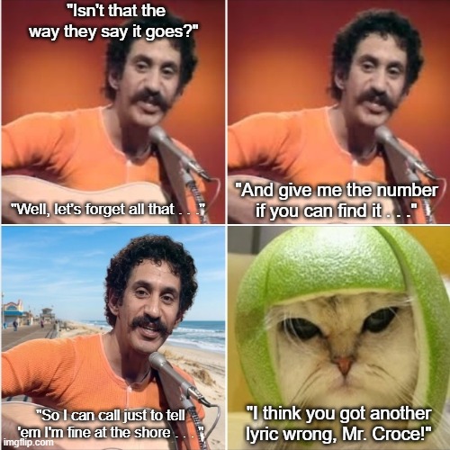 Jim Croce At the Shore - Or, Another "Operator" Misheard Lyric | "Isn't that the way they say it goes?"; "And give me the number if you can find it . . ."; "Well, let's forget all that . . ."; "So I can call just to tell 'em I'm fine at the shore . . . "; "I think you got another lyric wrong, Mr. Croce!" | image tagged in jim croce,operator,at the shore,cat in lime helmet,misheard lyric | made w/ Imgflip meme maker